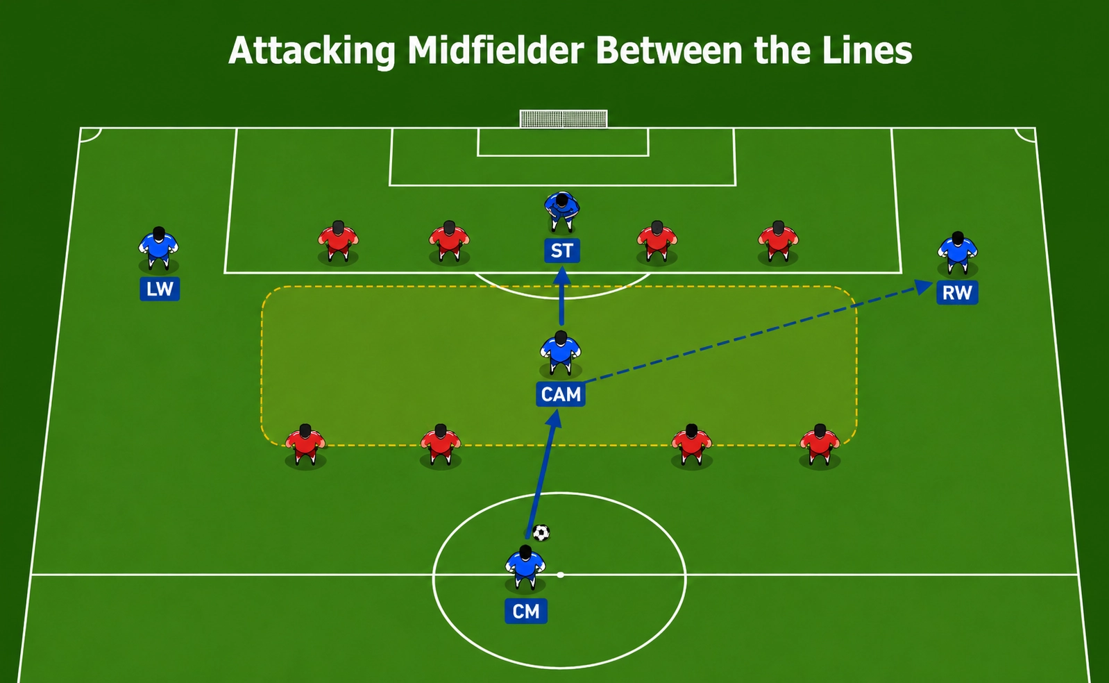 Attacking midfielder positioned between the opposition midfield and defensive lines
